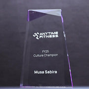 Acrylic Ballast Purple Trophy