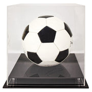 Acrylic Display Case Round Ball