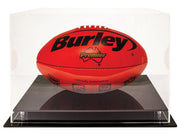 Acrylic Display Case Oval Ball