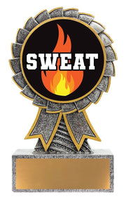 Aster Sweat Training