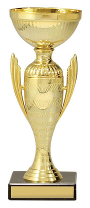 Sentinel Gold Cup