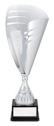 Raymaco Silver Cup