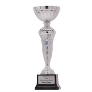 Shoreline Silver Cup