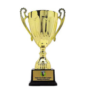 Valeron Gold Cup