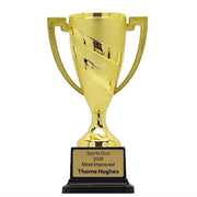 Sunburst Gold Cup