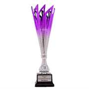 Catalyst Purple Cup