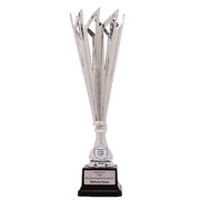 Catalyst Silver Cup
