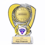 Halo Netball Trophy