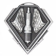 Pykon Motorsport Silver Medal