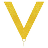 Shiny Gold V Neck Ribbon
