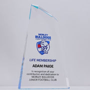 Torgo Acrylic Blue Colour Trophy